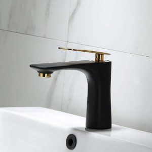 Baterie Lavoar Medie ,Negru Gold, Smack, Esn 008