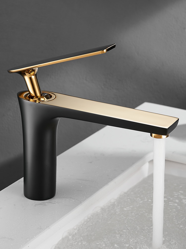 Baterie Lavoar Negru-Gold ,Elit's , Esn 032, Alama
